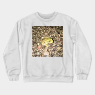 Babyiest Frog Crewneck Sweatshirt